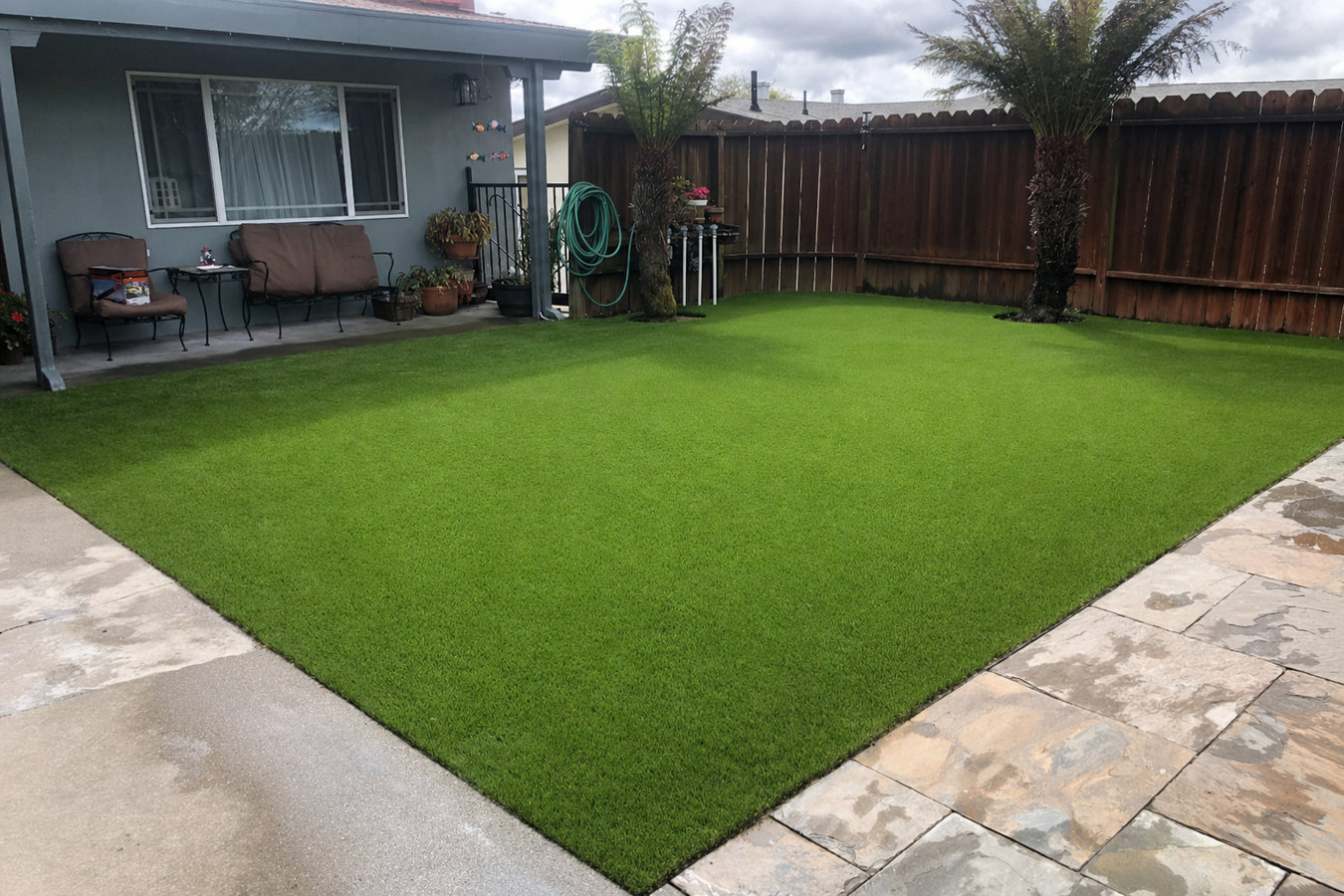 Drought-tolerant turf